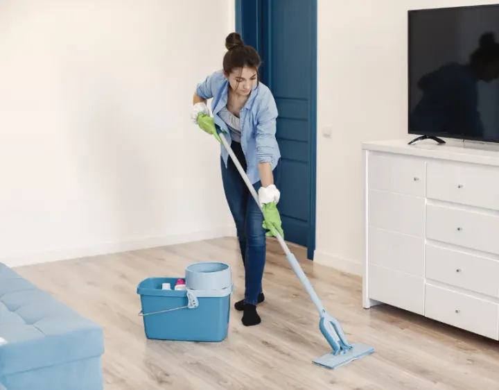 Femme de ménage Manziat